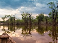 articles/2014/05/15/exploring-the-amazon-while-we-still-can/140514-hartman-amazon-tease_toaptz