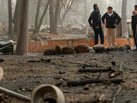 181118-trump-california-fires-raking-cheat_blaqqv