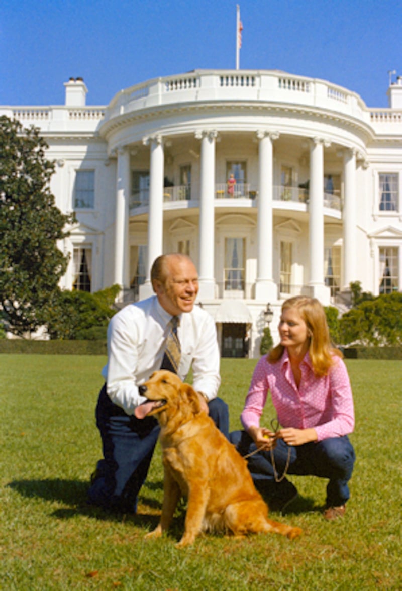 galleries/2010/10/29/dangerous-dogs/dangerous-dogs---golden-retriever_y9auyw