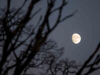 171202-basu-supermoon-lede_f33lb0