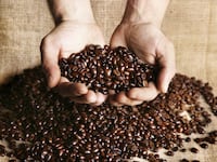 articles/2015/08/08/i-ll-take-my-latte-with-a-shot-of-bacteria/150808-arnold-fermented-beans-tease_dmdxvl