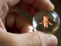 articles/2014/08/12/the-artificial-womb-will-change-feminism-forever/140811-allen-womb-tease_xb7vee