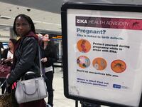 cheats/2016/09/09/84-pregnant-women-in-florida-infected-with-zika-virus/160909-zika-florida-cheat_kg83ww