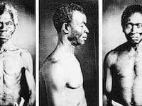 Daguerreotypes showing (L-R): a Congo slave named Renty, who lived on B.F. Taylor's plantation, "Edgehill"; Jack, a slave from the Guinea Coast (ritual scars decorate his cheek); and an unidentified man.