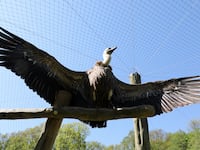 GettyImages-975045994_v3jy8w
