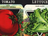 210319-Rothbaum-summer-veggie-garden-tease_idx4dx