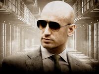 Stephen Miller: Law & Order