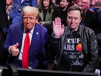 Bosom buddies: Donald Trump and Elon Musk whoop it up at a 2024 UFC 309 event at Madison Square Garden.