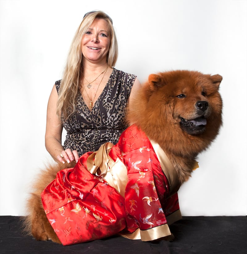galleries/2015/02/16/best-in-show-meet-the-breeds-and-breeders-of-westminster-photos/150214-westminster-meet-the-breeds-12_sey6ge