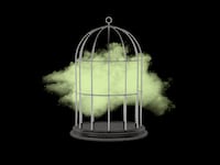 Photo illustration of a metal birdcage with a green gas cloud inside