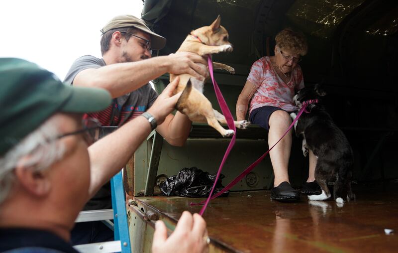 170828-harvey-pets-03_kbmwuj