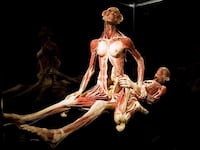 You Can See Dead People Having Sex For Less Than $20. But, Should You?