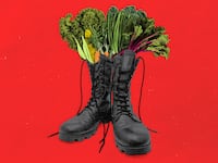 190705-weill-fascist-farmers-market-hero_aczzdy