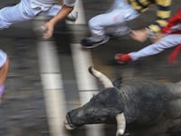 galleries/2016/07/14/running-of-the-bulls-photos/160714-running-bull2_t6p8sg