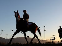 190306-hitt-horse-track-tease_i54mzk