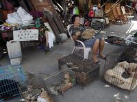 articles/2015/06/19/chinese-town-to-kill-10-000-dogs-for-festival/150619-joiner-dog-fest-tease_vgvrsx