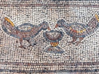 190922-moss-hippos-burnt-church-hero_iqketg