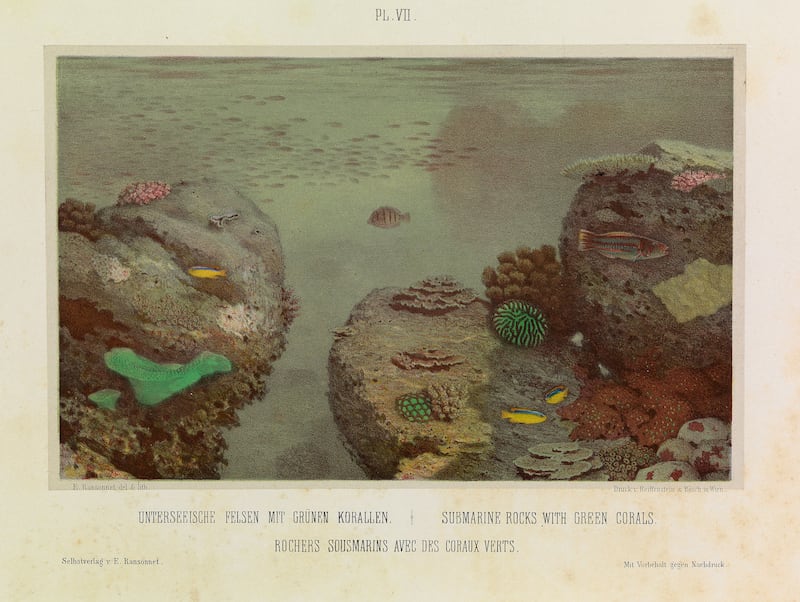 220708-underwater-photography-embed_maaxhn