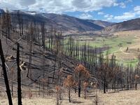 210530-singer-wildfires-tease_acftyh