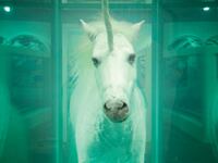 articles/2011/06/05/damien-hirst-one-of-today-s-10-most-important-artists/damien-hirst-tease_nismbk