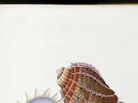 galleries/2012/08/16/beautiful-commonplace-books-by-lewis-carroll-nancy-cunard-and-more-photos/commonplace-books-southey1_h8l5hp