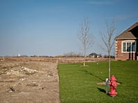 articles/2013/08/01/suburbs-are-dying-say-urbanists-but-the-obits-may-be-premature/130802-suburbs-dzieza-tease_o68skk