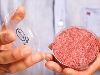 articles/2013/08/07/can-vegetarians-eat-in-vitro-meat-the-debate-rages/130805-lab-burger-hines-tease_m31nm9
