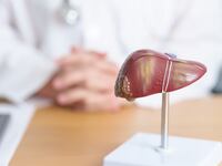 Doctor with human liver model