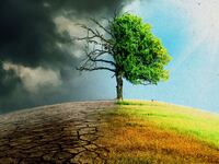 220228-Michaelson-Climate-Change-tease_lpu6qn