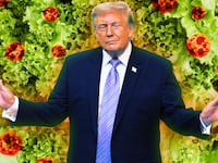 A photo illustration illo of Trump standing front of lettuce and the Cyclospora parasite.