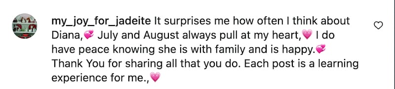 A commenter shares their fond memories of the late Princess Diana in response to her brother’s 2026 throwback post.