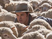 articles/2014/05/29/seth-macfarlane-s-a-million-ways-to-die-in-the-west-is-yet-another-failed-spoof/140527-suskind-parodies-tease_zsn8cm