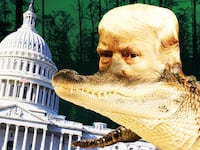 171029-swamp-trump-tease_i0ctx4