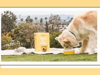 Sundays-Dog-Food-Air-Fried_msp2y5