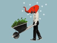 Photo illustration of a business man with a red elephant head pushing a wheelbarrow full of cash.