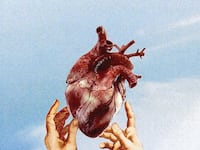 articles/2014/05/22/the-heart-association-s-junk-science-diet/140522-divinediet_b_powcif