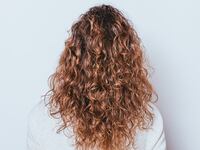 Rear view woman's head with beautiful long naturally curly hair on white background.