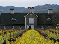 articles/2011/05/23/the-natural-wine-revolution-is-changing-how-we-drink/menin-organic-wine_182604_pvx29p