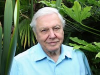 articles/2014/02/11/sir-david-attenborough-enough-with-the-creationists-and-climate-change-deniers/140210-david-attenborough-hines-tease_vq5cwn