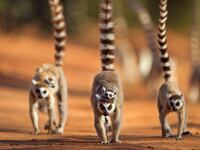 GettyImages-114996861_1_ampjfo