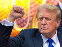 Donald Trump confirmed he’ll vote for recreational marijuana use to be legalized in Florida, putting him at loggerheads with Ron DeSantis.