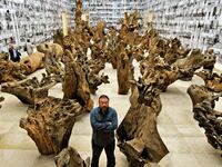 articles/2011/06/22/ai-weiwei-released-in-china-what-it-means-for-his-art/ai-weiwei-released-gopnik_sj8mpl