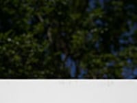 articles/2009/01/29/is-google-an-evil-empire/jarvis-kansas-google_11735_isqnei