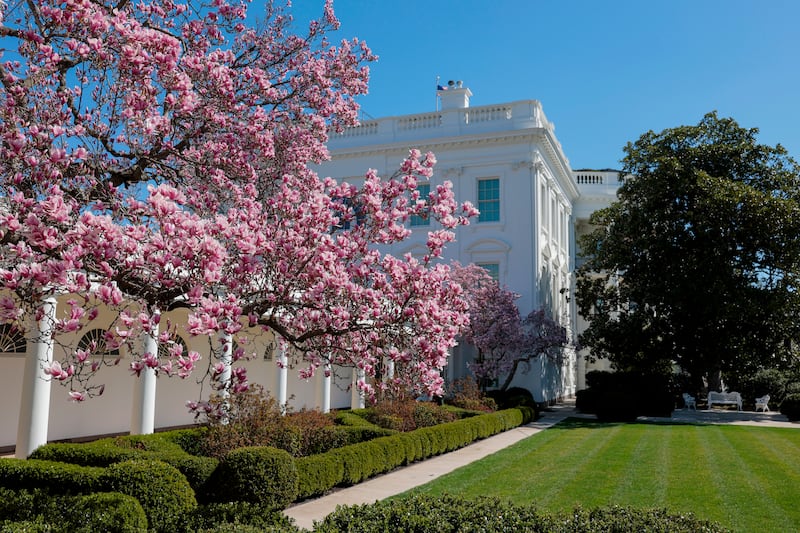 A view of the Rose Garden in March, before the renovations.