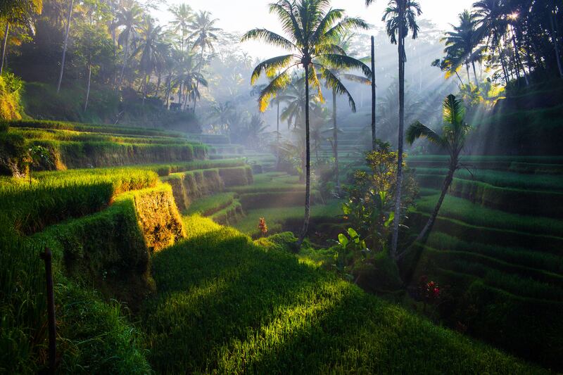 201202-bali-embed_krrsek