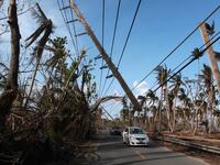 171023-puerto-rico-whitefish-contract-cheat_wxxw3t