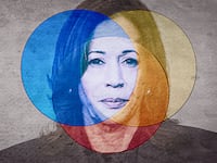 Kamala's problem in form of a Venn diagram
