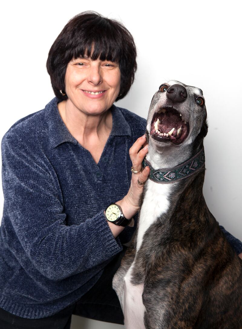galleries/2015/02/16/best-in-show-meet-the-breeds-and-breeders-of-westminster-photos/150214-westminster-meet-the-breeds-03_nxnijo