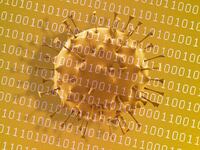 200428-Cartwright-covid-19-cyberscammers-tease_ktadfr