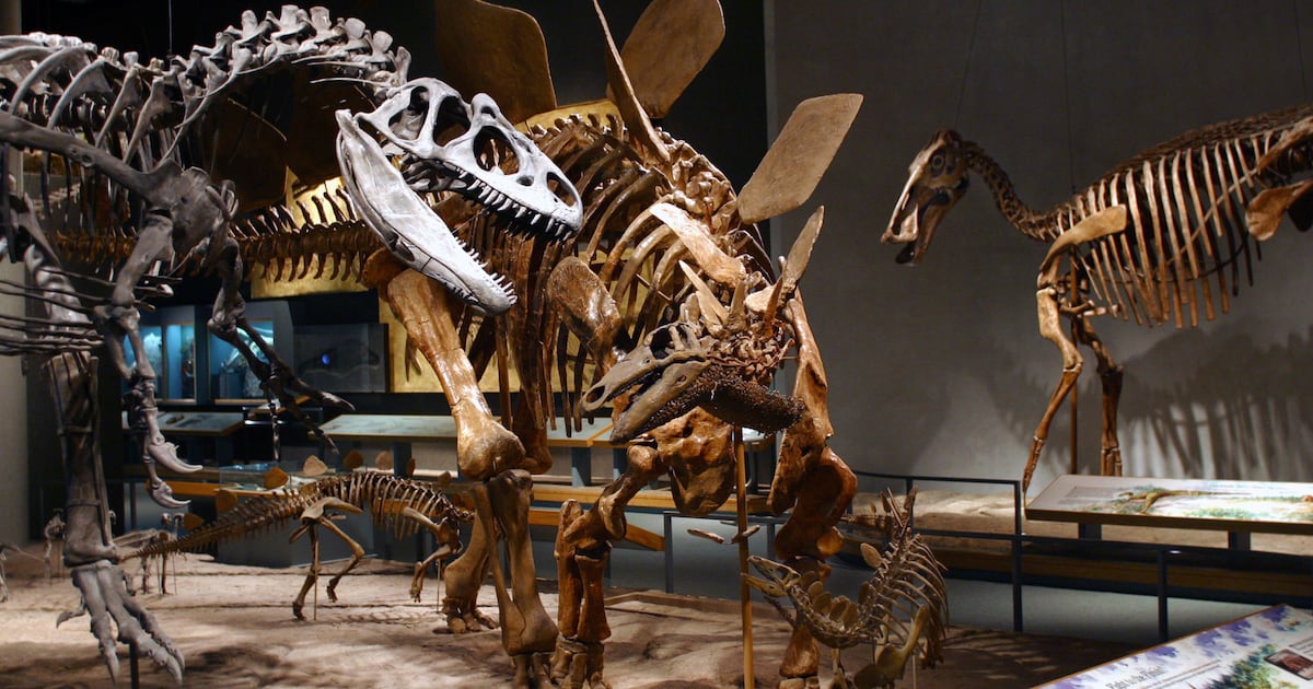 Dinosaur Museum Makes Stunning Prehistoric Discovery Under Its Parking Lot